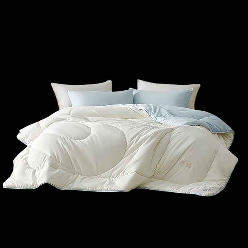 

Mercure Home Textiles Cloud-Feel Soy Fiber Quilt