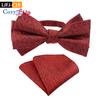 Two-piece Suit Paisley Bow Tie And Pocket Squares Handkerchief