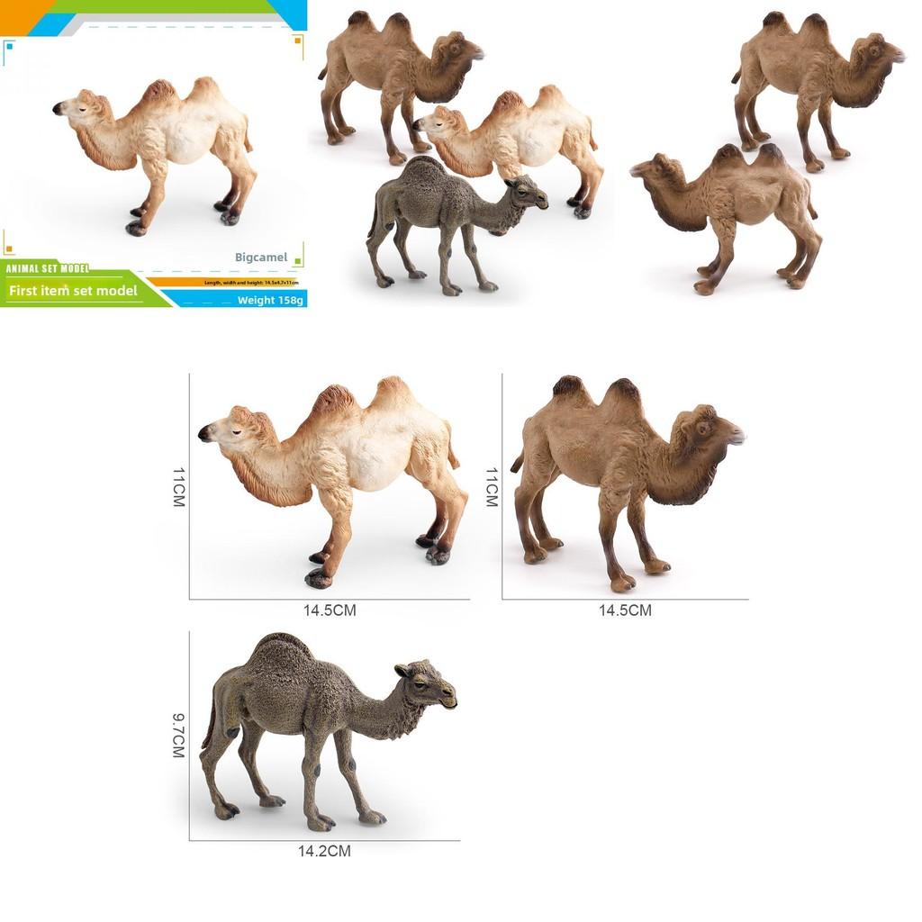 Desert Animal Pvc Figurine Twin Hump Camel Static Decor For Children Learning Play