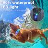 LED Dog Pet Collars Luminous Necklace Buckle IP68 Waterproof Rechargeable Martingale Dog Hunting Stuff for Big Breed Reflective
