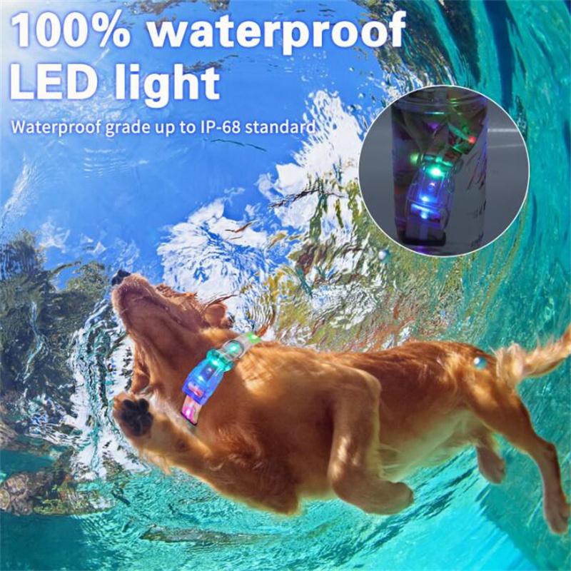 LED Dog Pet Collars Luminous Necklace Buckle IP68 Waterproof Rechargeable Martingale Dog Hunting Stuff for Big Breed Reflective