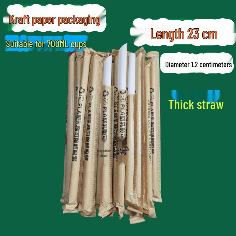 ZISIZ Eco-friendly Degradable PLA Large Straw