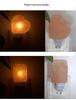 Himalayan Natural Crystal Salt Wall Lamp - Plug-In Night Light for Bedroom, Living Room, Corridor