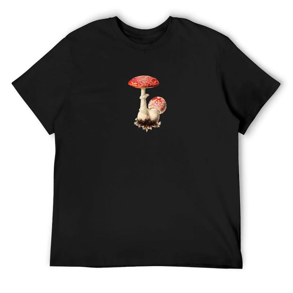 Magic Mushrooms, Amanita Muscaria, Foraging, Toadstool, Fly Agaric Shrooms, Mycology Botanical Illustration, Red Fungi, T-Shirt