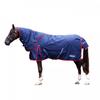 Whitaker Detachable Neck 250g Horse Combo Turnout Rug