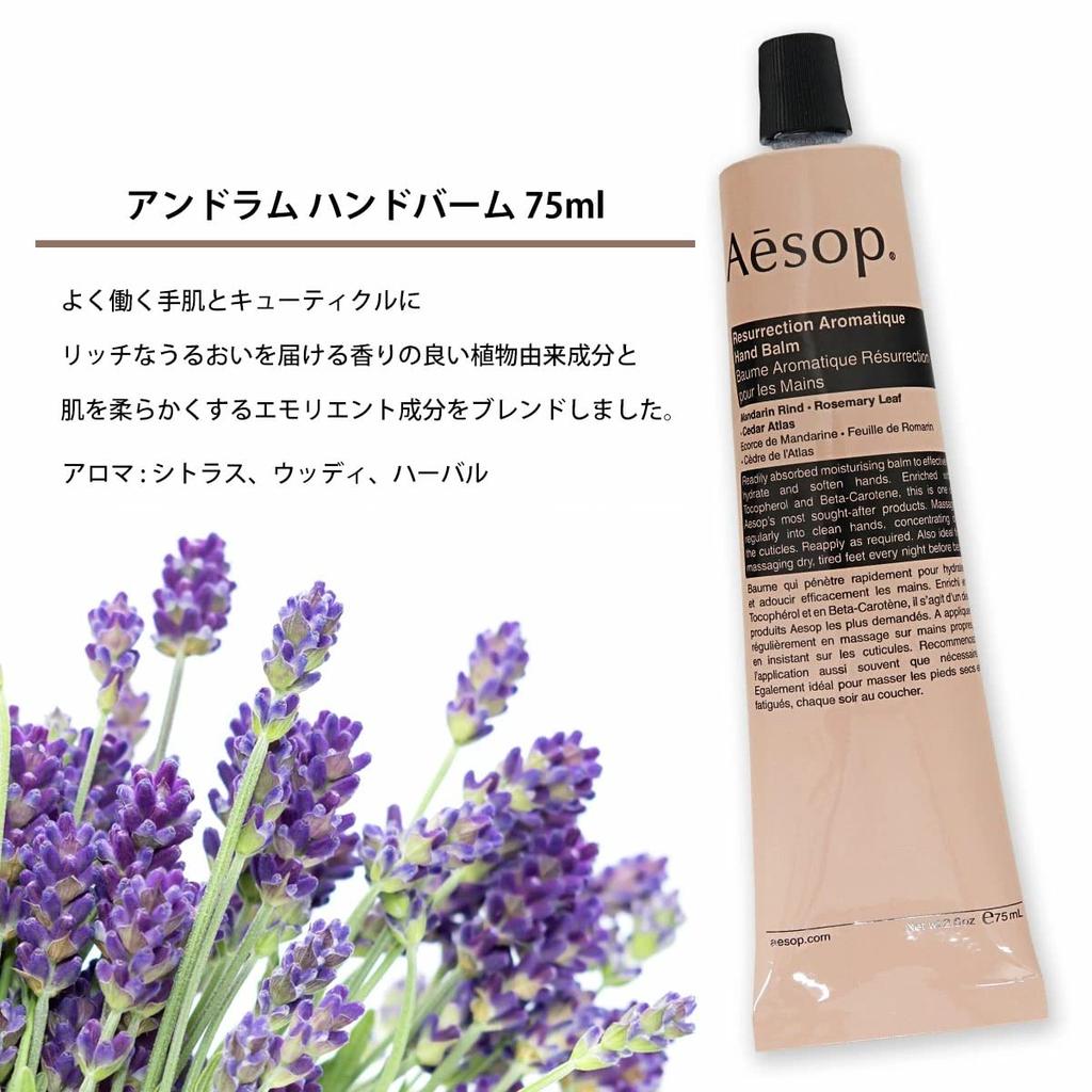 Aesop Geschenkbox Andrum Handbalsam 75ml Handwaschmittel 500ml Set (Aromatisch/Auferstehung) &