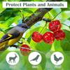 Grünes Vogelnetz – Strapazierfähiges Gartennnetz zum Schutz von Pflanzen & Obstbäumen – UV- & Frostschutz, Wiederverwendbar – Verschiedene Größen erhältlich