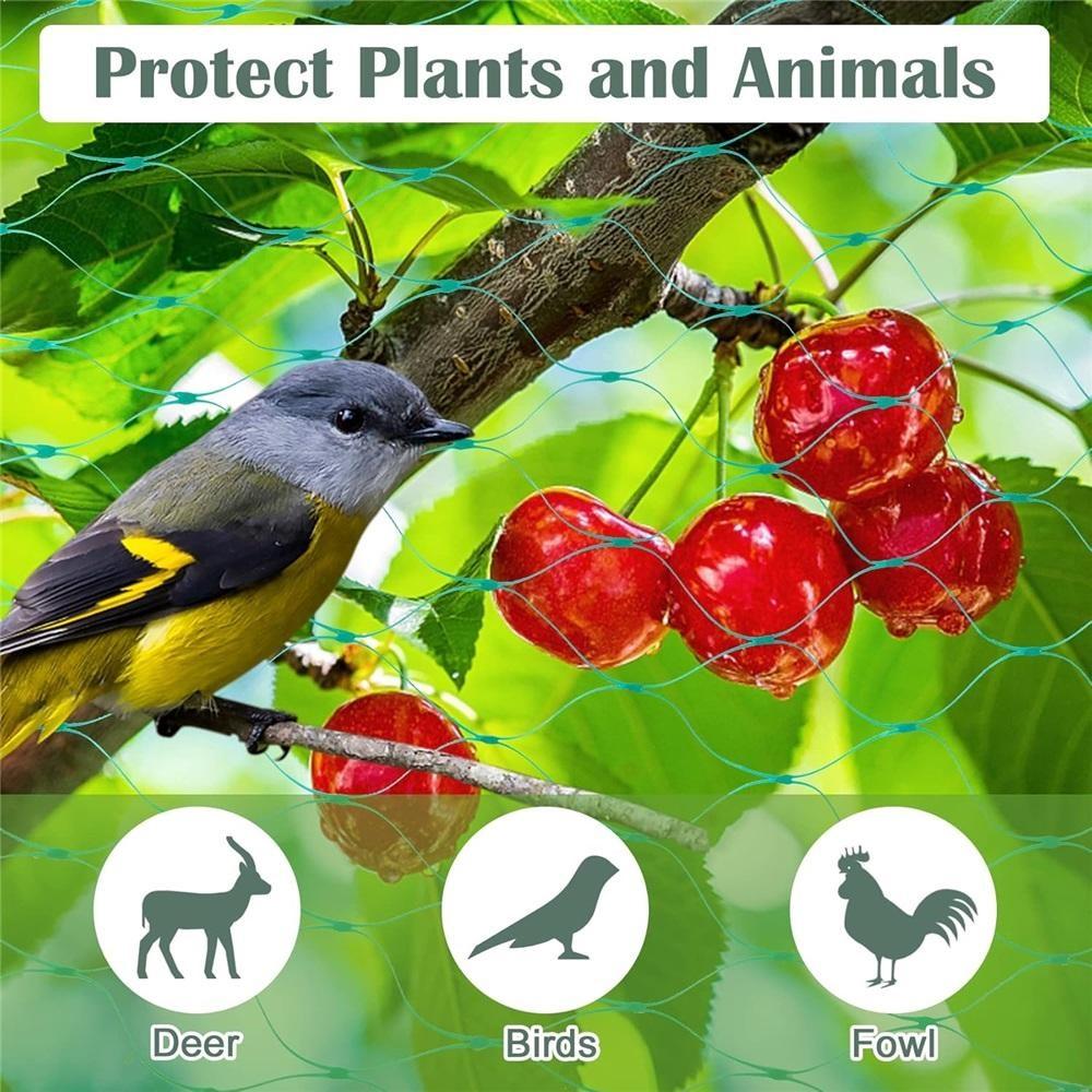 Grünes Vogelnetz – Strapazierfähiges Gartennnetz zum Schutz von Pflanzen & Obstbäumen – UV- & Frostschutz, Wiederverwendbar – Verschiedene Größen erhältlich