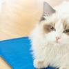 1pc-Pet Cooling Pad, Self-Cooling Dog Bed Mat, Summer Heat Relief Dog Cushion Mat Sleeping Blanket