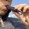 Portable Emergency Safety Pennywhistle Loud Signal Device Suitable for Hiking Backpacking Mountaineering Survival