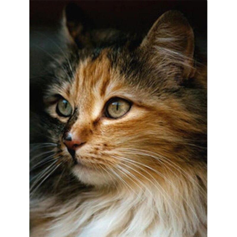 5D DIY Diamond Painting Tabby Cat Art Diamond Embroidery Rhinestones Decorations for Home
