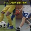 Zamst Jk-1 Knee Support, Ambidextrous, Suitable for All Sports and Daily Life, Size M, 371102