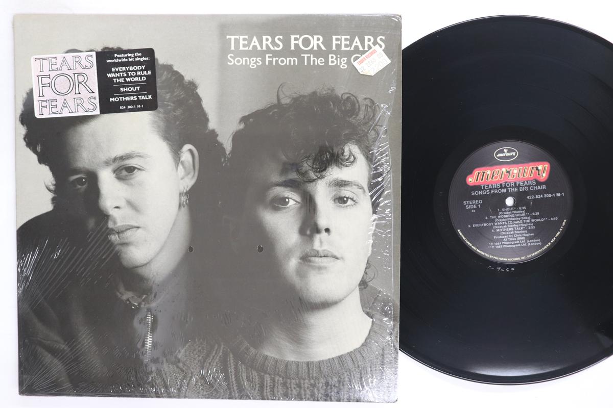 LP Record TEARS FOR FEARS  Songs From The Big Chair 4228243001M1 MERCURY 1985 US Rock Used