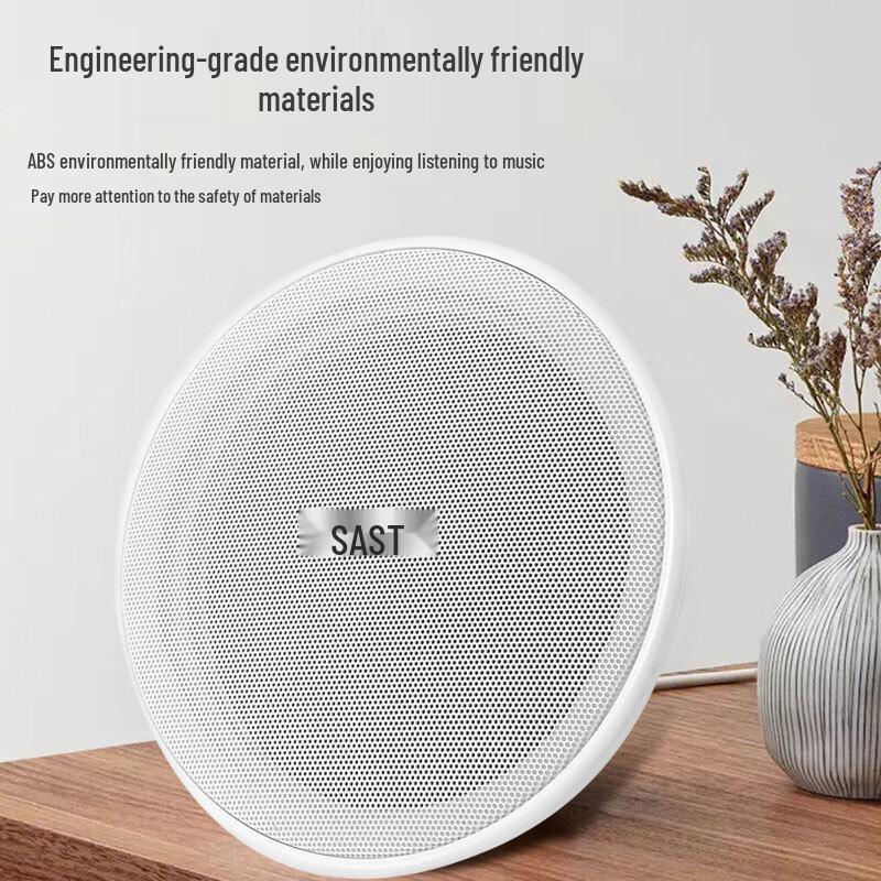 SAST 6-inch Constant Voltage Ceiling Speaker CN Plug (adapter Included)