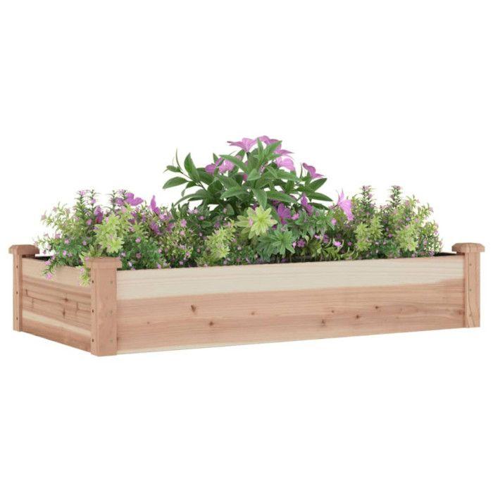 VidaXL Lit surélevé de jardin doublure 120x60x25 cm bois massif sapin 364289