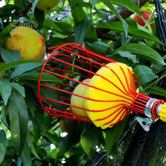 Fruktplukkerverktøy med justerbar langstangssvampdesign Avtagbar stor kapasitet Enkel å installere Persimmon Bayberry Collection Tool
