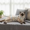 Comfortable Cat Recovery Clothing Breathable Pet Anti-Licking Vest  Pet Estrus Period