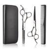 Stainless Steel Barber & Hairdressing Scissors Set: Flat Tooth & Thinning Options
