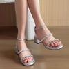 Rhinestone Silver Sandals Women's New Summer Skirt Shoes Versatile Thick Heel One-word with High Heels