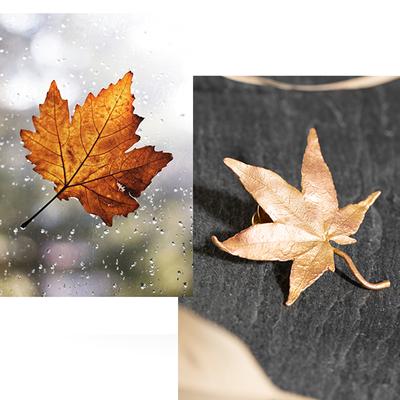 Broches Exquises Feuille d'Érable en Métal Couleur Or Pour Femme Fille Simples Accessoires Vêtements de Fête Boucle Épingle Broche Cadeaux