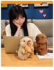Nezha Groundhog Plush Toy: Children's Pillow and Soothing Doll Birthday Gift