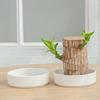 Wooden Decorative Tray Small Plant Pot Saucer Water Plant Dish Tabletop Tray Flower Pots For Living Room College Dorm Bedroom