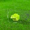 Farm Desktop Small Ornaments Rabbit Accessories Cute DIY Landscape Decoration