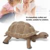 Vivid Animal Model Simulation Elephant Tortoise Toy Early Education Solid Toy for Kids
