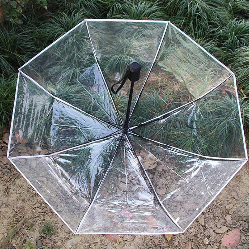 Umbrella Transparent Umbrella Automatic Transparent Tri Fold Umbrella