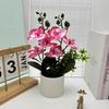Artificial Plastic Phalaenopsis Flower Bonsai For Event Decoration Home Styling