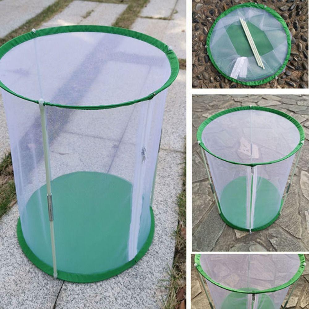 for Plant Flower Insect Cage PVC Clear Windproof Mini Greenhouse Easy to Use Garden Supplies Observation Habitat Women Girls