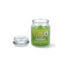 Bougie - MAGIC LIGHTS - Citronnelle - 510ml - Cire Pressée - Verre Blanc