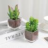 1Pcs Succulent Plant Artificial Transparent Flowerpot Fake Cactus Plant Indoor For Window Office Racks Bathroom Home Decoration