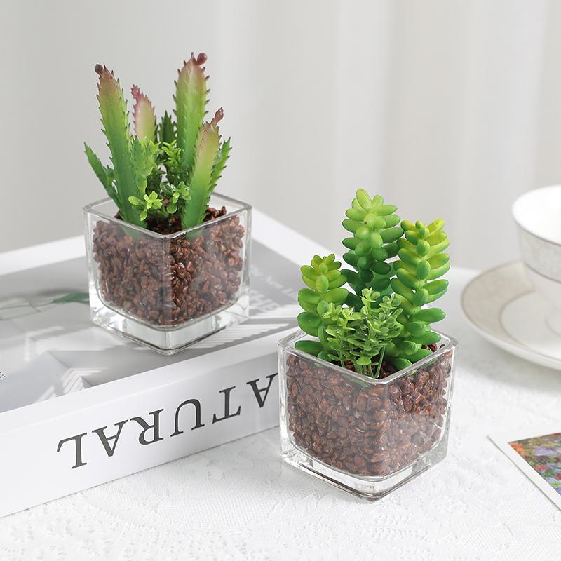 1Pcs Succulent Plant Artificial Transparent Flowerpot Fake Cactus Plant Indoor For Window Office Racks Bathroom Home Decoration