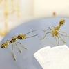 Ant Ornament Polished Alloy Golden Ant Sculpture Vintage Style Ant Statue for Home Office Garden Decoration