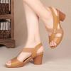 Mid Heeled Sandals, Women's Summer Fish Mouth Covers, Thick Heels, High Heels, Minimalist Style Shoes In Color