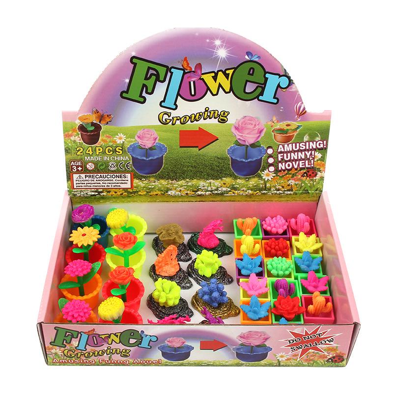Water-Expanding Cactus Succulent Toys - Creative, Unique & Novel Gifts for Kids