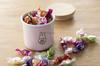 Fuji Enamel Miffy Pastel Storage Container Canister Wooden Lid with Gasket 9cm Pink Gift Miffy Enamel