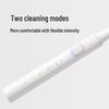 Xiaomi Mijia Sonic Electric Toothbrush T100