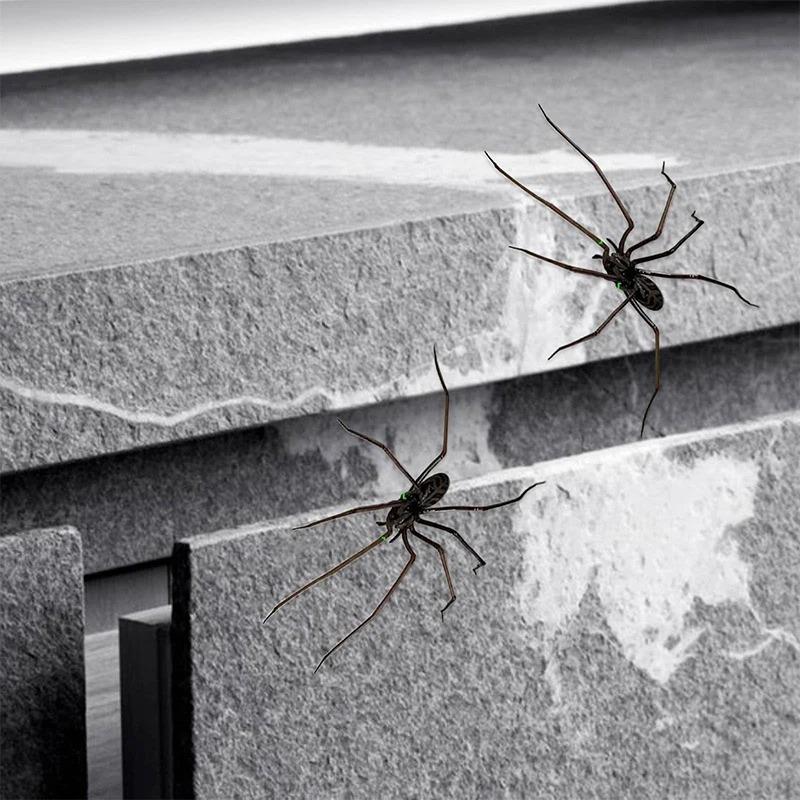 Halloween Home Decor Spider Evil Fun Friend Gift Fun Novelty Magnetic Fridge Accessories Spider Magnet Home Decor Accessories
