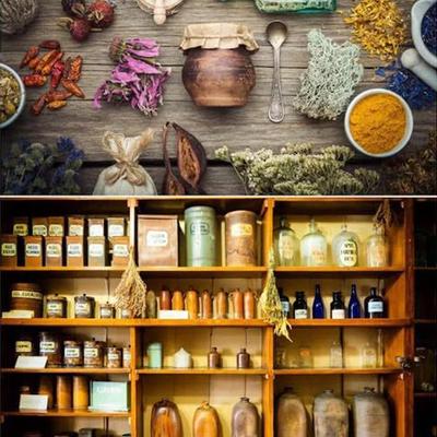 Le Livre d'Apothicaire Holistique pour la Maison: Guide de Guérison Naturelle, Apothicaire Familial Oublié, 1000+ Remèdes à Base de Plantes Guide de Santé Holistique