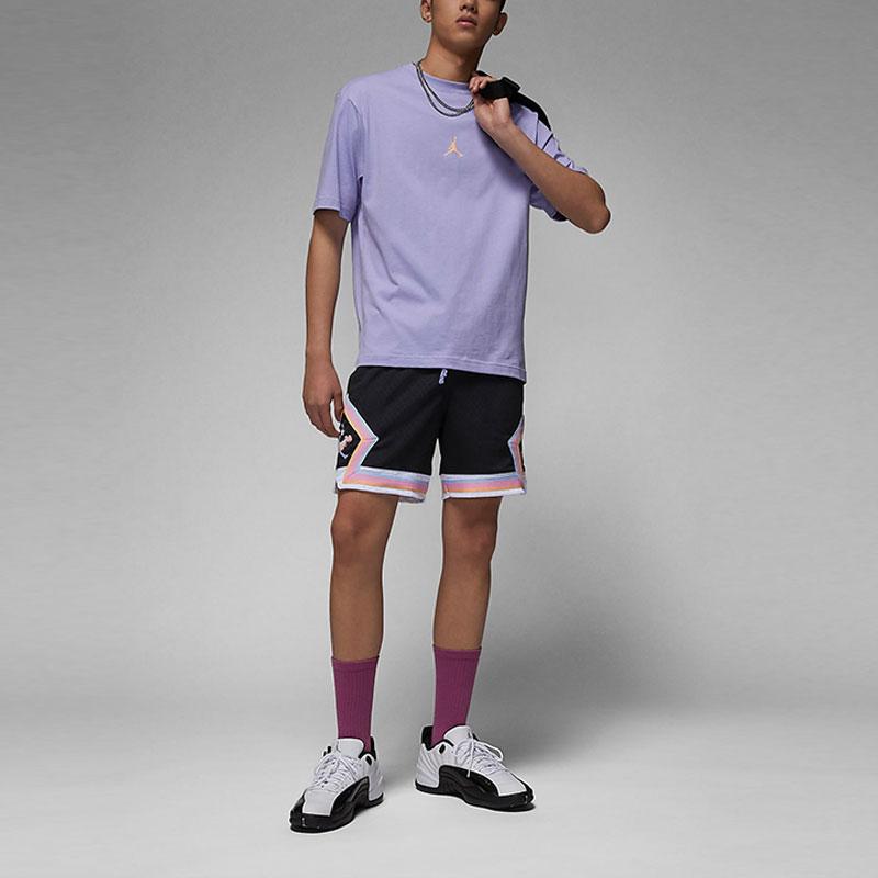 New Jordan T Shirt Men's Ice Beauty Lilac FD6555-538