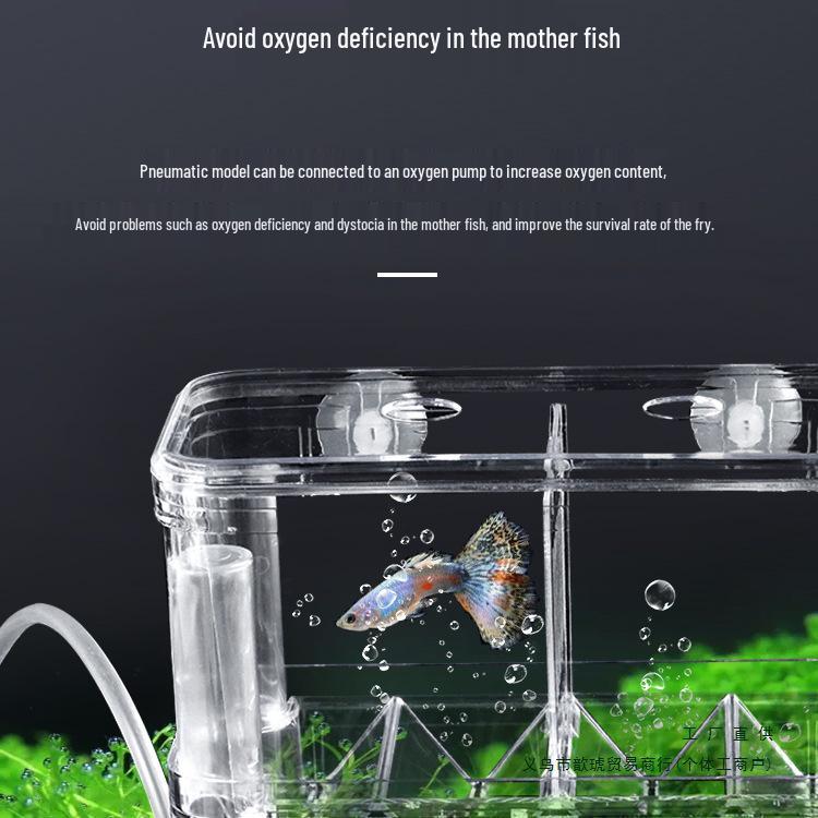 Akryl Flytande Akvarium Isolering & Yngelkasse för Guppy och Yngel