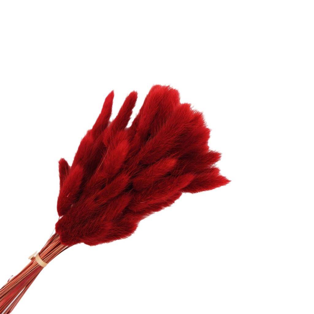 Small Reed Dried Flower Bouquet Small Whisk Small Pu Reed Reed Dried Flower Rabbittail