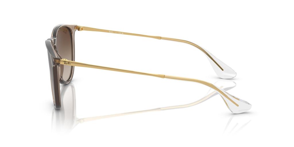 sunglasses RB4171F ERIKA Asian Fit Ray-Ban