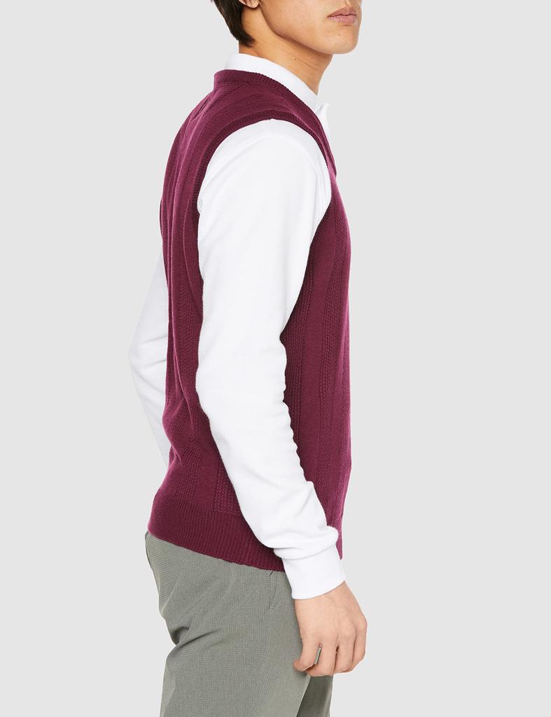 FootJoy FJ V-Neck Vest FJ-F22-M03 Men's Dark Fig M