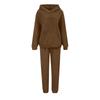 Women's Sweatshirt and Sweatpants Set Long Sleeve Elastic Waist Casual Fall Winter Wear