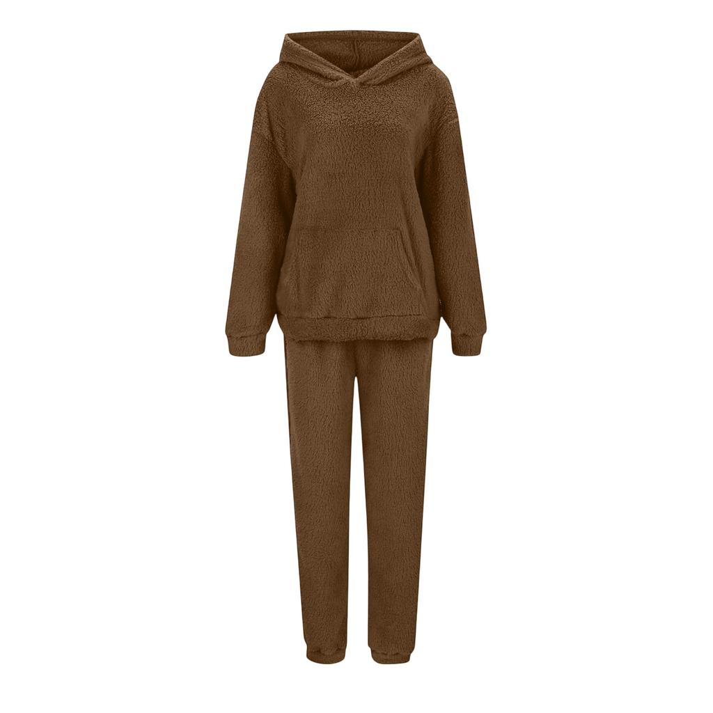 Women's Sweatshirt and Sweatpants Set Long Sleeve Elastic Waist Casual Fall Winter Wear