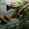 Terrarium Climbing Shelf Magnetic Reptile Ledge, Shelf, Rock Durable Cage Furniture Look Resting Platform for Geckos, Tree Frogs Small Habitat Decor