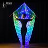 LED Luminous Angel Wings for Belly Dance and Nightclub Performance